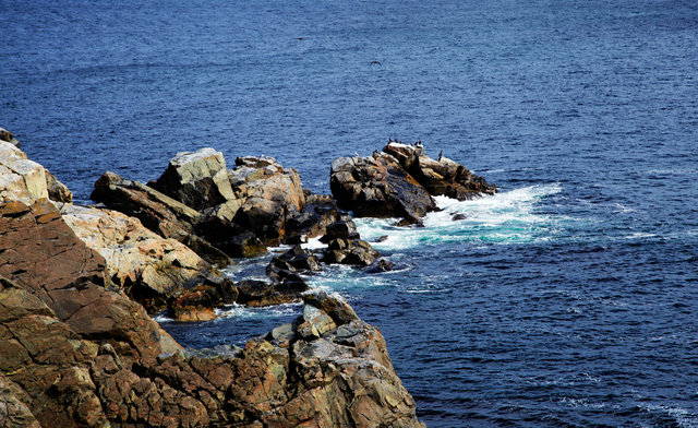 IMG_7461.jpg