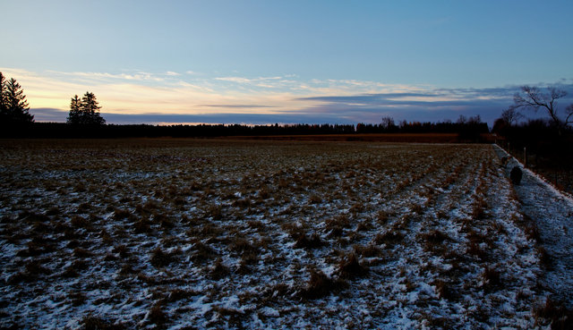 IMG_5333.jpg