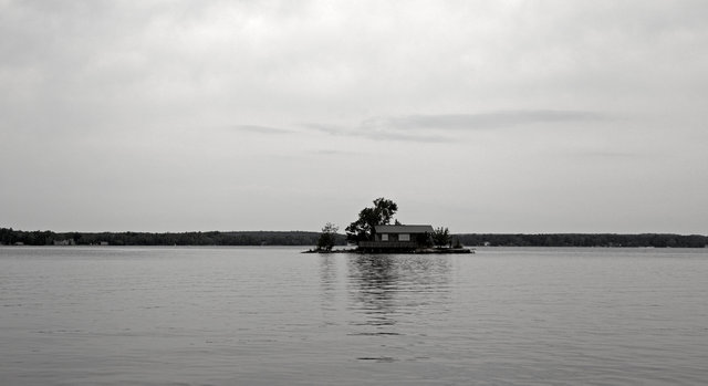 IMG_8251.jpg