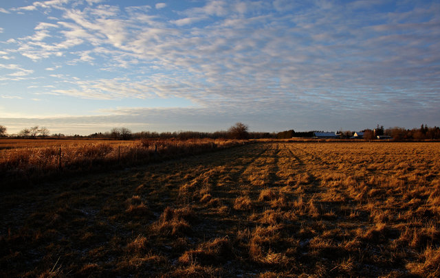 IMG_2732.jpg
