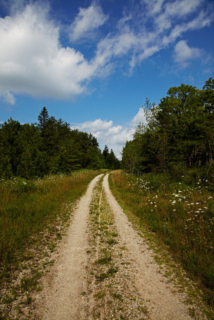 IMG_8489.jpg