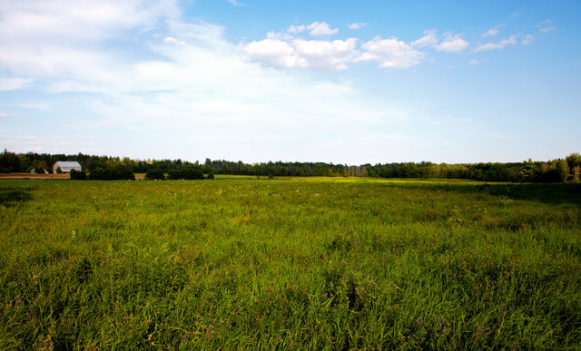IMG_8793.jpg