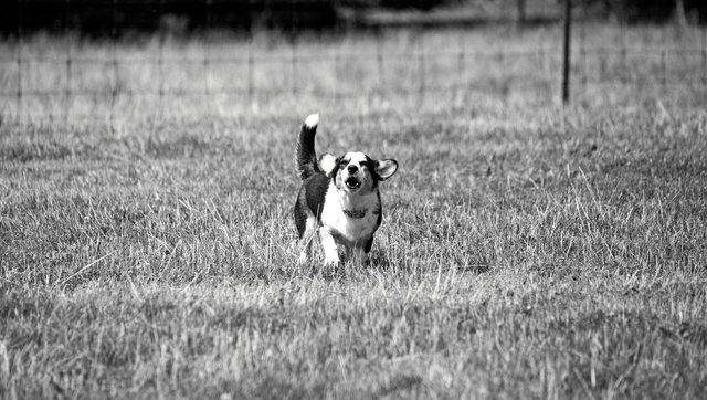 IMG_9368.jpg