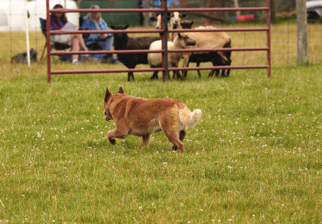 IMG_1223.jpg