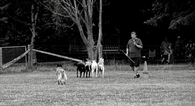 IMG_4387.jpg