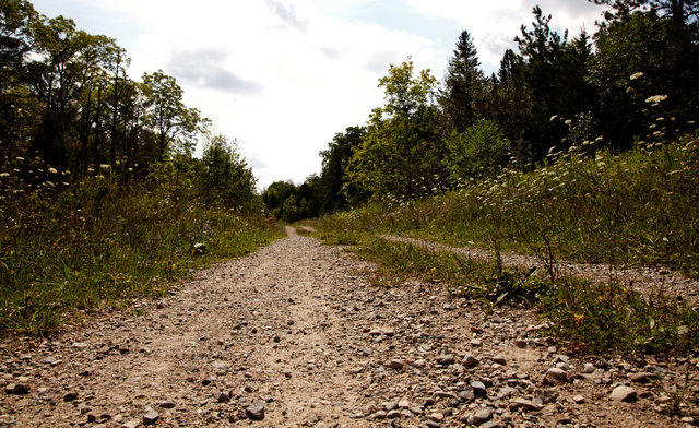 IMG_8486.jpg