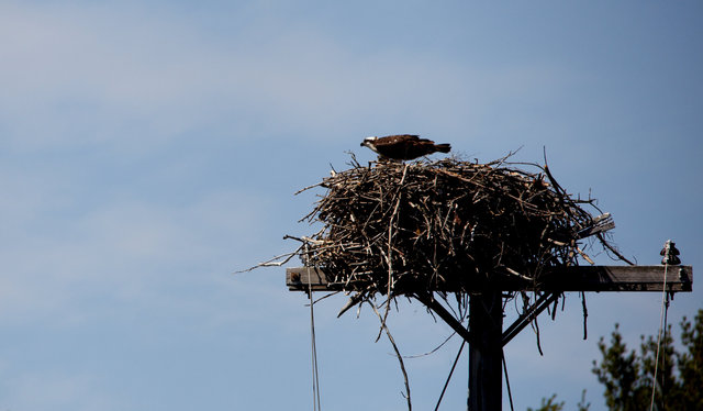 IMG_4176.jpg