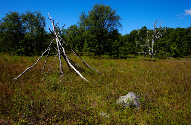 IMG_8290.jpg