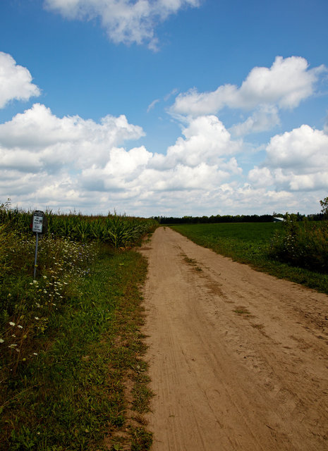 IMG_8520.jpg