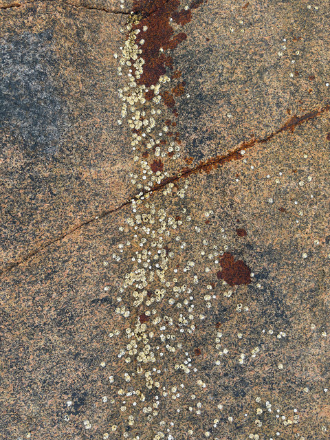 0009_IMG_7764 copy 2.jpg