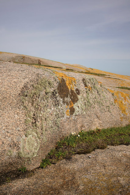 9_DSC3161 copy 10.jpg