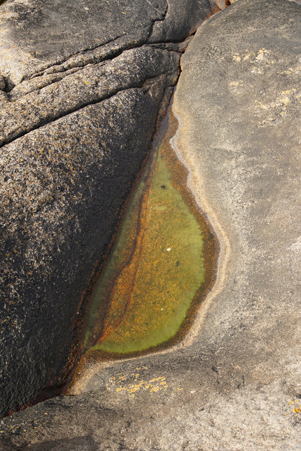 8_DSC3215 copy 2.jpg