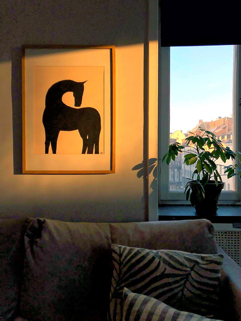 evening light copy.jpg