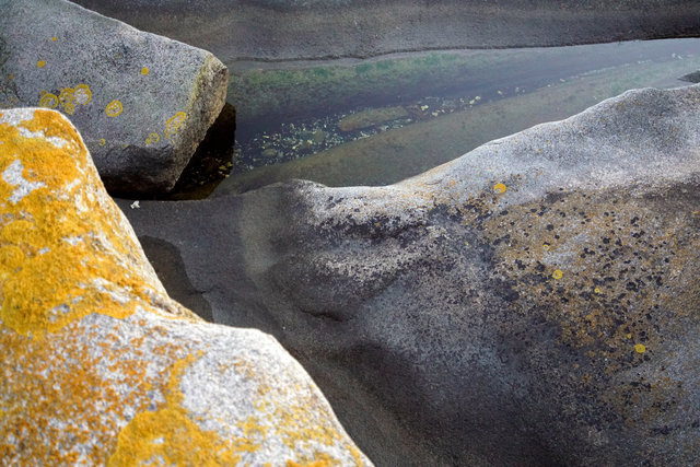 2__DSC3015 copy 3.jpg