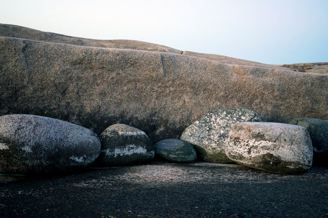 6__DSC3074 copy 3.jpg