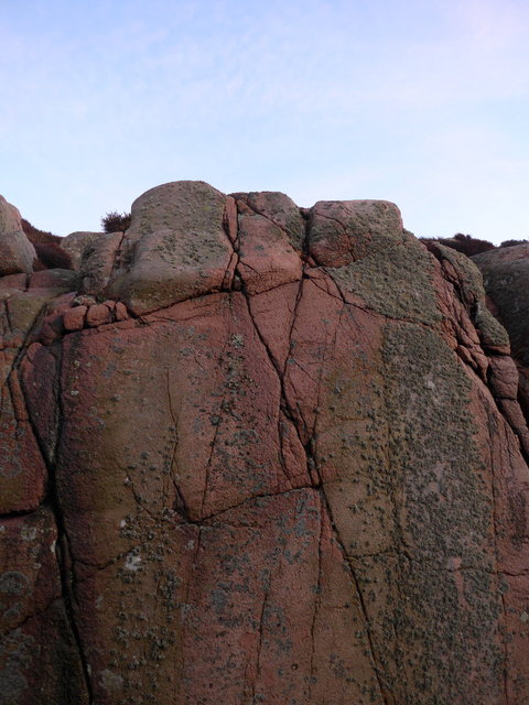 0001_L1020859 copy.JPG