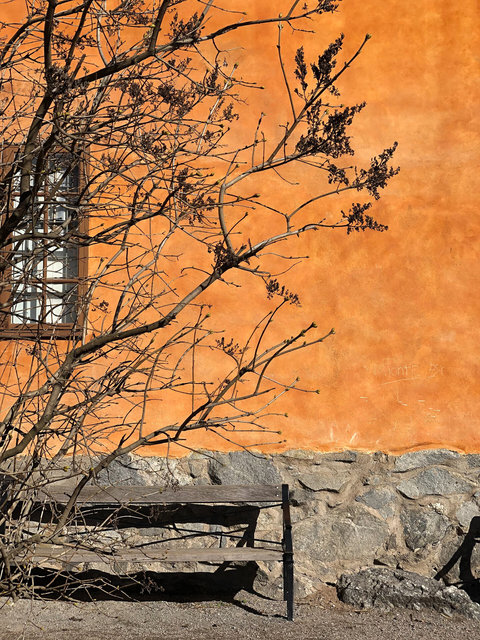 6_orange wall bench tree copy.jpg