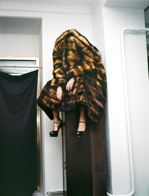 045_Tracy and fur on the shelf.jpg