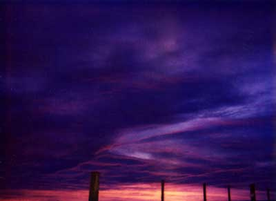 Violet Sunrise 5 by Alison Gracie