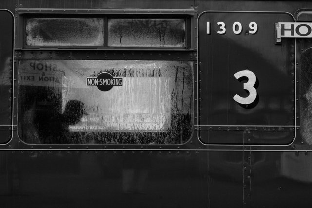 L1012904sef2_1500px.jpg