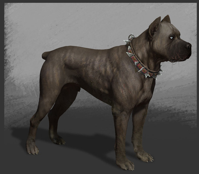 Division 2 Attack Dog