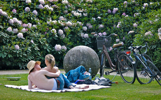The picnic