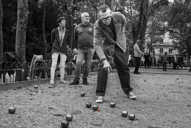 Luxembourg Garden series #2