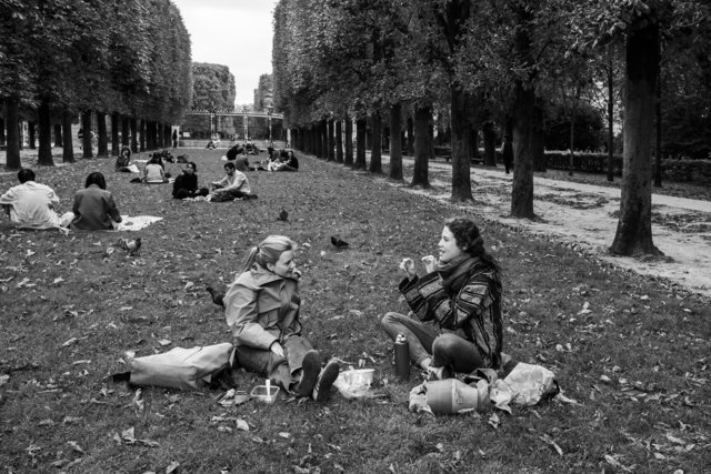 Luxembourg Garden series #1