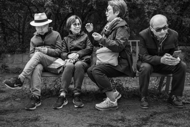 Jardin des Plantes bench series #3