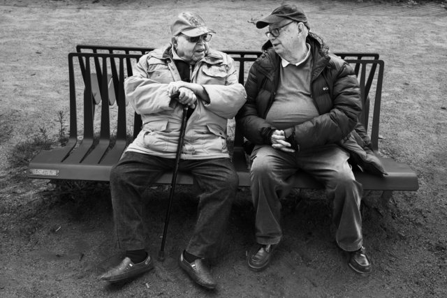 Jardin des Plantes bench series #6