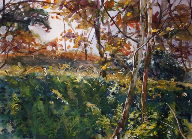 Near Trumansburg, NY   22 x 30"