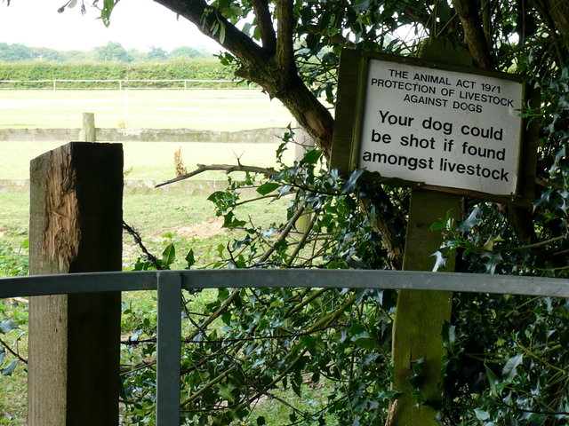 Dog Sign near Lammer Farm VB.JPG