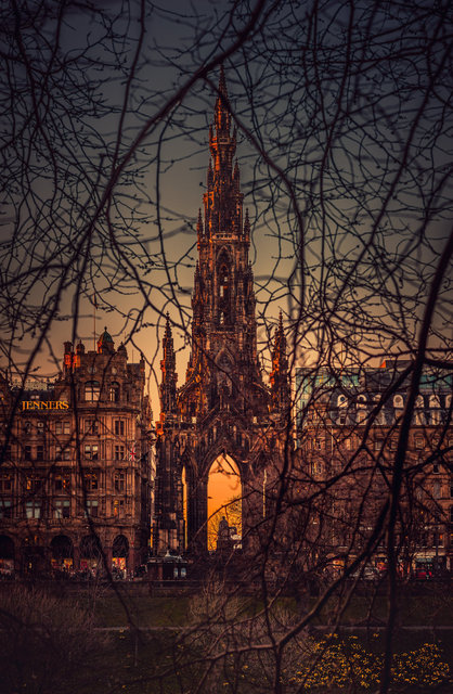 Behind The Trees Of Princes Gardens