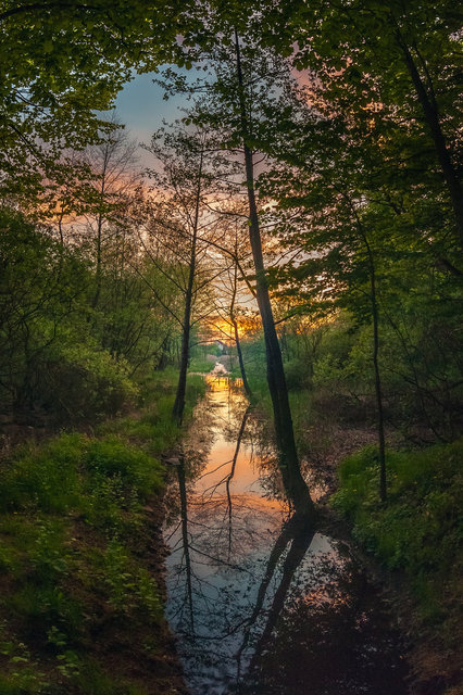 Park Żubra-MASTER COPY.jpg