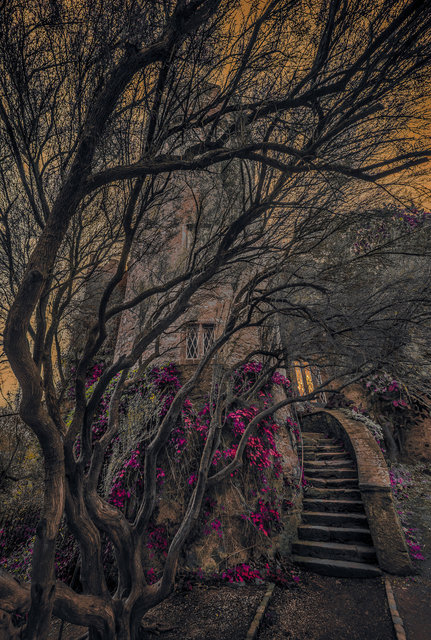 Castle Side Entrance