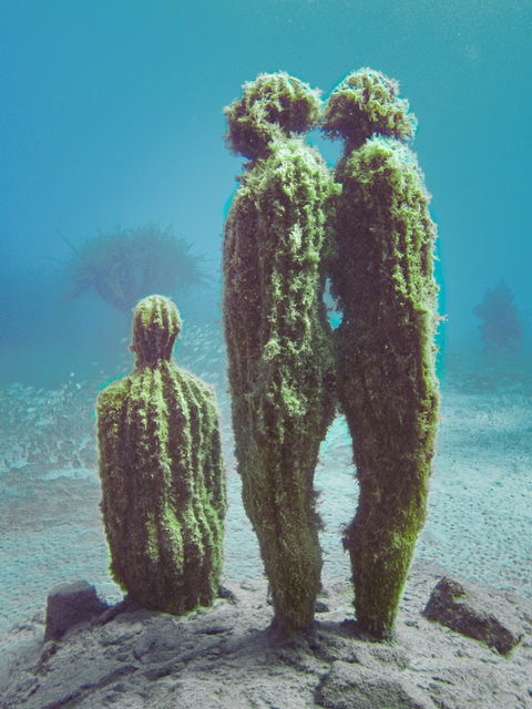 From The Bottom Of The Ocean