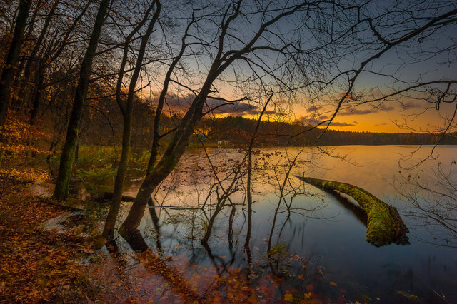 Lake Dłusko