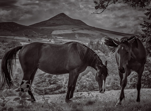 Sugar Loaf Mountain-MASTER COPY.jpg