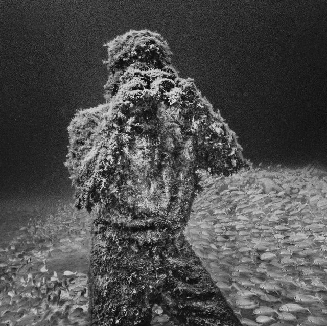 Underwater Photographer