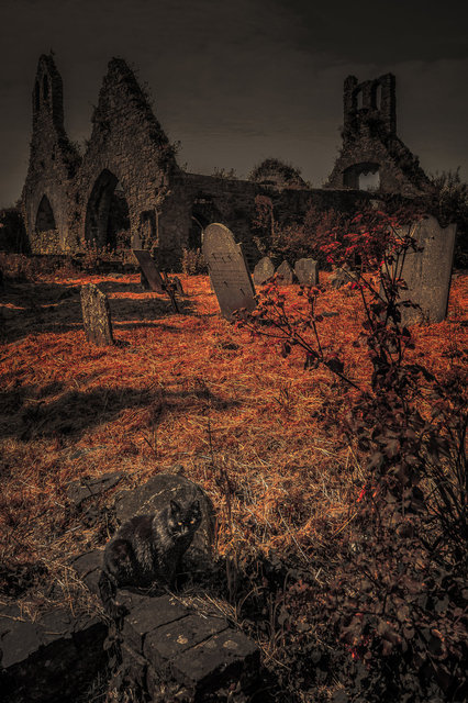 Halloween Cover 2018