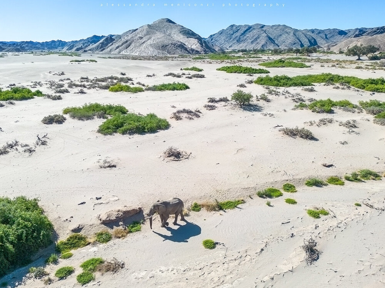 UNIQUE WILDLIFE NAMIBIA