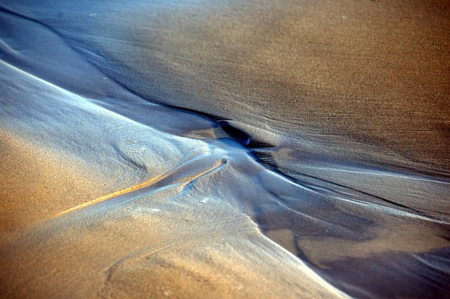 Delta del Ebro_0009.JPG