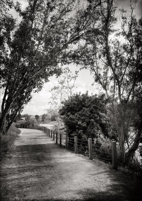 LAGUNA NIGUEL, CALIFORNIA