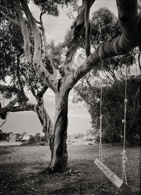 LA JOLLA, CALIFORNIA