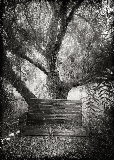 OJAI, CALIFORNIA