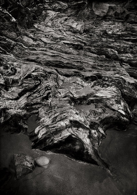 CORONA DEL MAR TIDE POOLS, CALIFORNIA