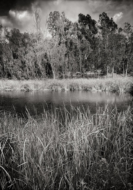 LAGUNA NIGUEL, CALIFORNIA