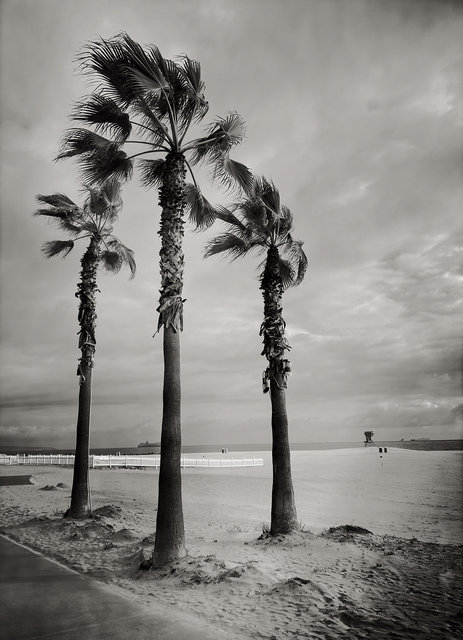 CORONADO ISLAND, CALIFORNIA