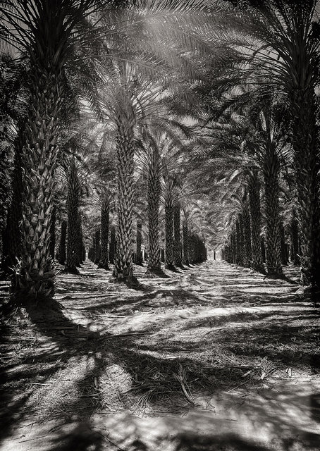 THERMAL, CALIFORNIA