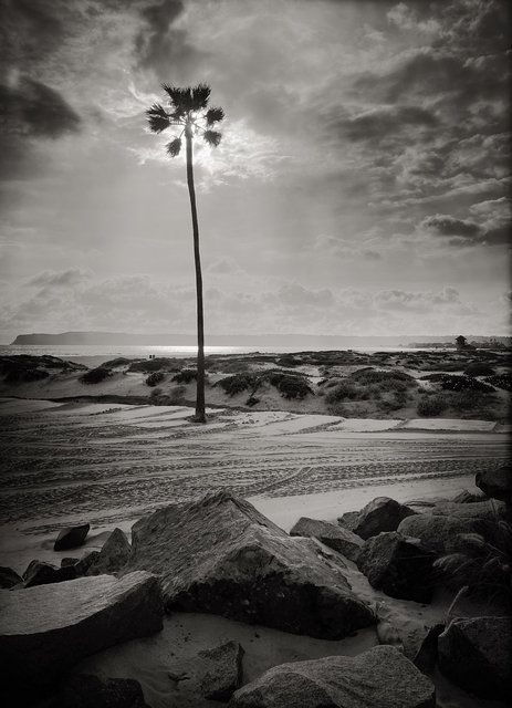 CORONADO ISLAND, CALIFORNIA